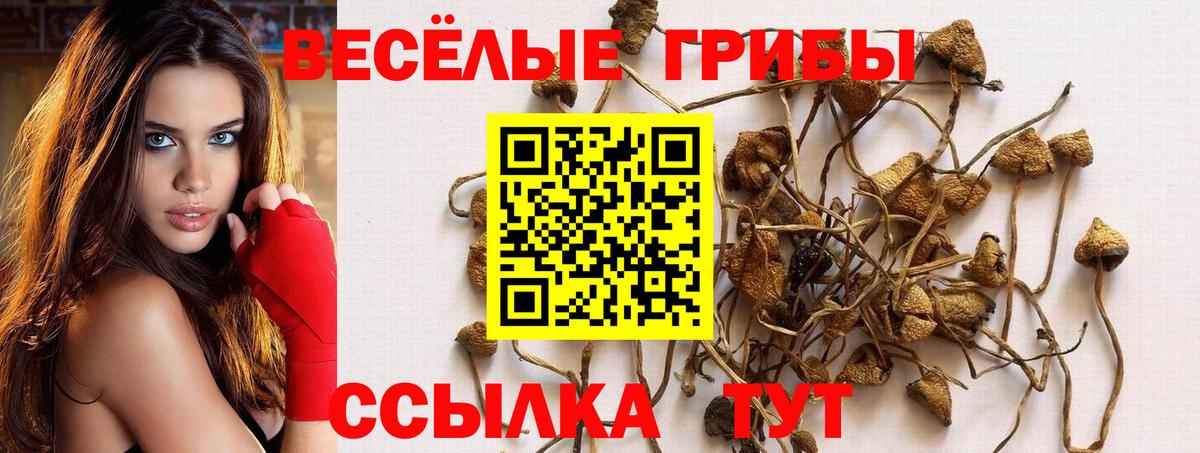 Псилоцибиновые грибы MAGIC MUSHROOMS  Галлюциногенные грибы Psilocybine cubensis  Ялуторовск  Вход с VPN 